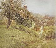 Helen Allingham,RWS South Country Cottage (mk46) oil painting